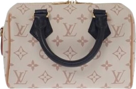 Louis Vuitton Vintage Dame Pre owned Beige ONE SIZE,