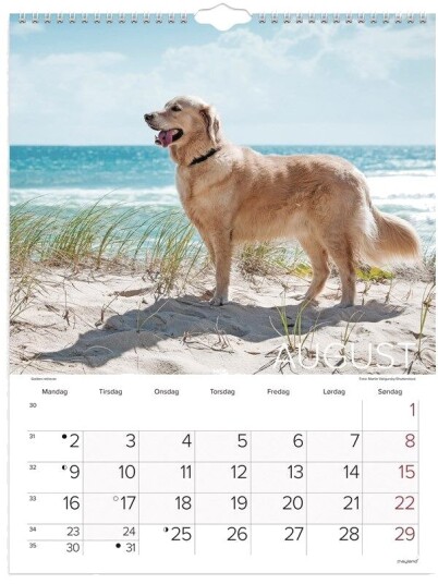 Mayland Vgkalender Hunde 2027