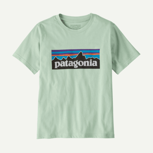 Patagonia Kids" P 6 Logo T Shirt Thin Ice   XXL 16 18 år