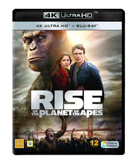 Rise Of The Planet Of The Apes Rise Of The Planet Of The Apes