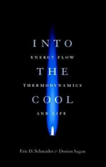 Into The Cool Av Eric D. Schneider