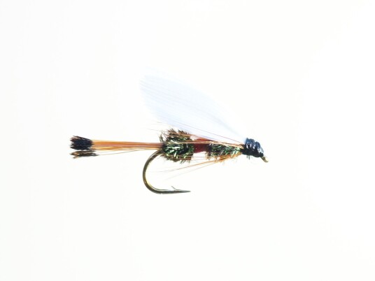 Royal Coachman Royal Coachman