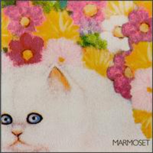 Marmoset Today It's You CD