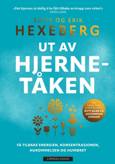 Ut av hjernetåken Ut av hjernetåken