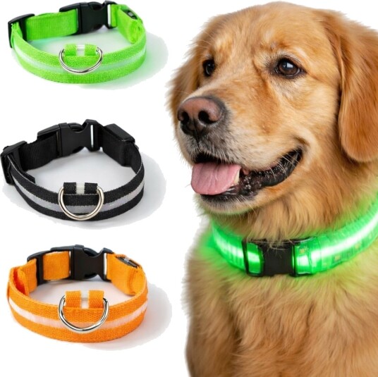Led Hundehalsbånd Oppladbart