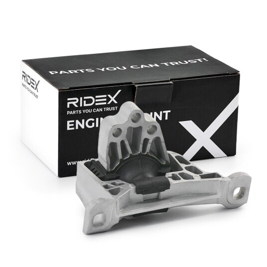 Motorfeste RIDEX 247E0667