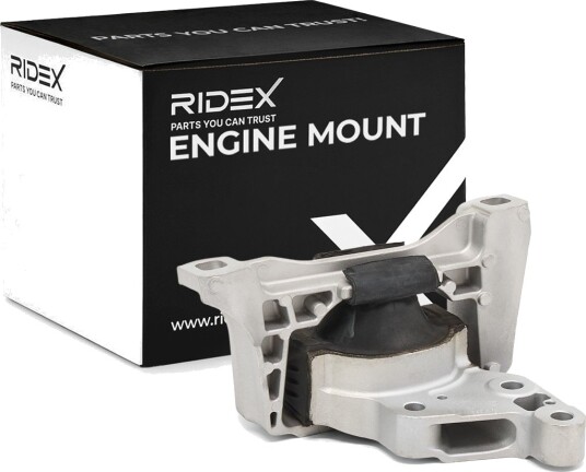 RIDEX 247E1008 Motorfeste