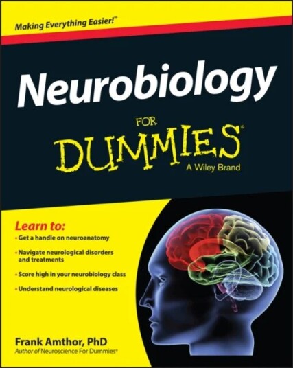 Neurobiology For Dummies Av Frank Amthor