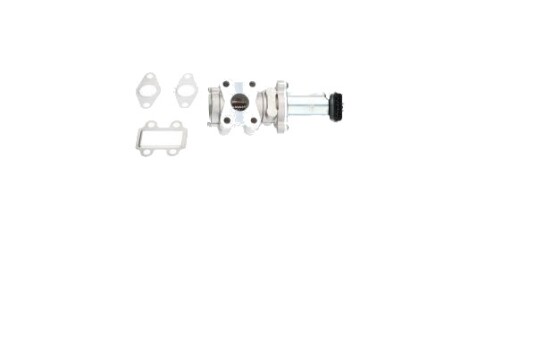 EGR-ventil KAVO PARTS EEG-9024