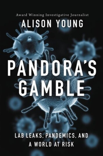 Pandora'S Gamble Av Alison Young