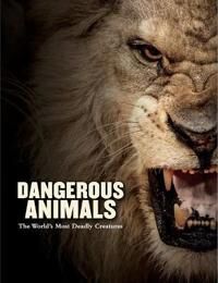Dangerous Animals Av Barry Madden Dangerous Animals Av Barry Madden