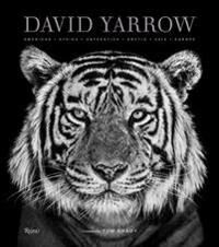David Yarrow Photography Av David Yarrow, Tom Brady