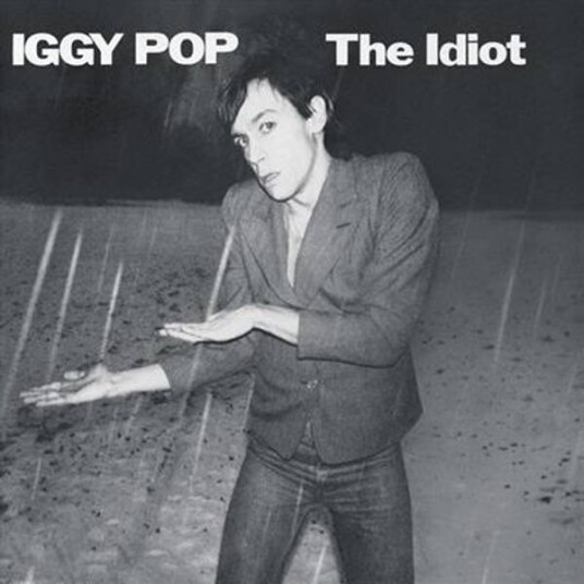 Iggy Pop The Idiot Deluxe Edition 2CD Iggy Pop The Idiot Deluxe Edition 2CD