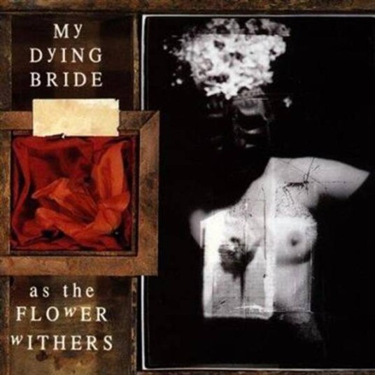 My Dying Bride As The Flower Withers CD My Dying Bride As The Flower Withers CD