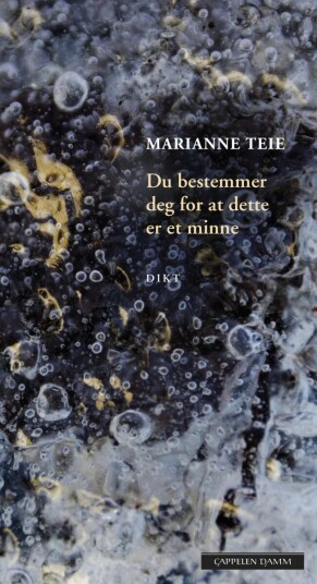 Du Bestemmer Deg For At Dette Er Et Minne Av Marianne Teie