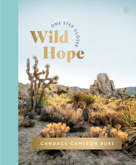 Wild Hope A 30Day Devotional to Overcome Life’s Challenges – Interactive Devotions with Bible Verses Guided Questions and Creative Exercises