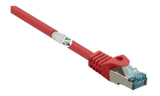 Renkforce Rf-5043974 0,25 M Cat6a S/Ftp S-Stp Rj-45 Rj-45