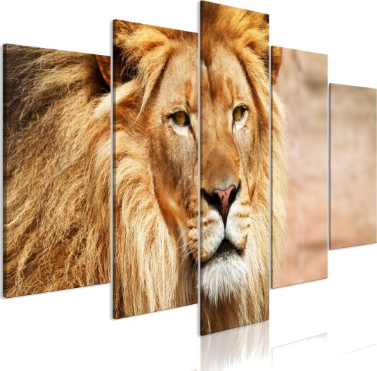 Bilde The King Of Beasts 5 Parts Wide Orange 200x100 Artgeist sp. z o. o.