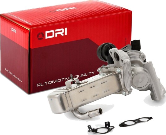 EGR-ventil DRI 717730163