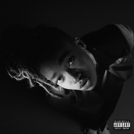 Little Simz  Grey Area  LP/Vinyl