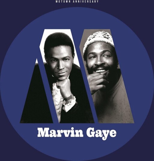 Motown Anniversary Marvin Gaye Vinyl Motown Anniversary Marvin Gaye Vinyl