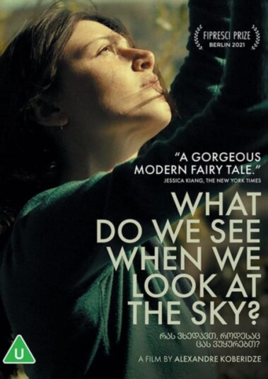 What Do We See When We Look At The Sky? DVD What Do We See When We Look At The Sky? DVD