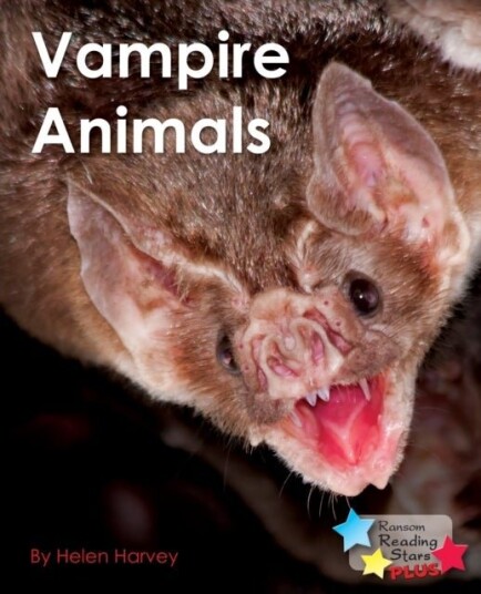 Vampire Animals Vampire Animals