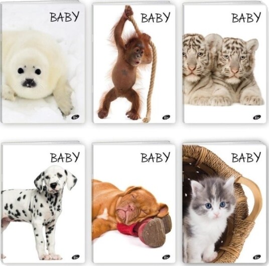 Notatbok A5 32K Sjekk Baby Pack 20 Stk.