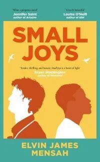 Small Joys Av Elvin James Mensah