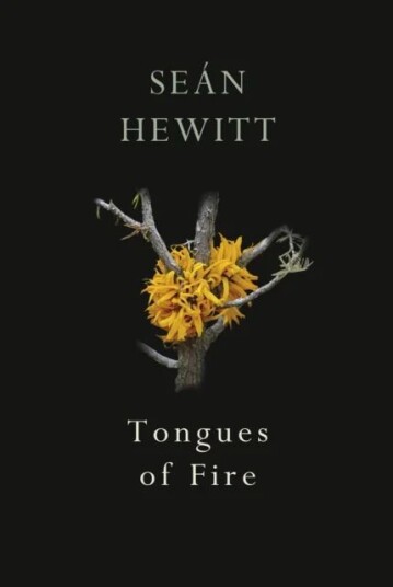 Tongues Of Fire Av Sean Hewitt