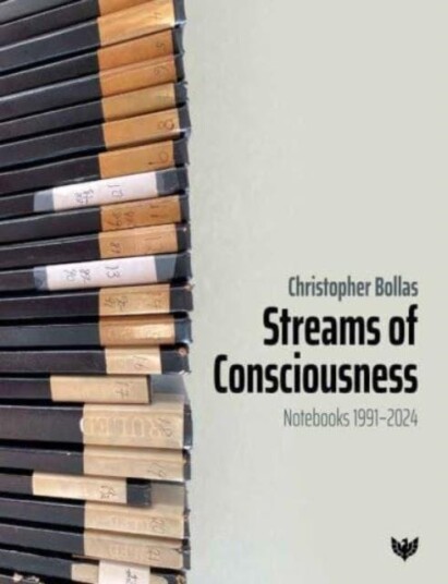 Streams of Consciousness  Notebooks 1991–2024