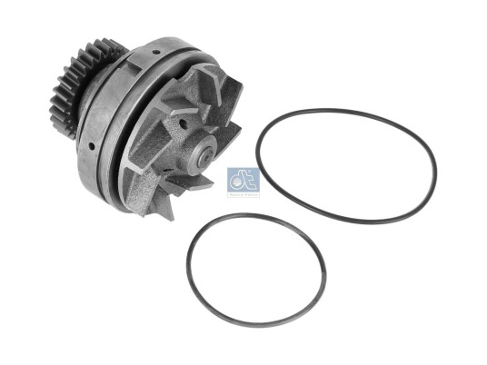 DT Spare Parts 6.30002 Vannpumpe
