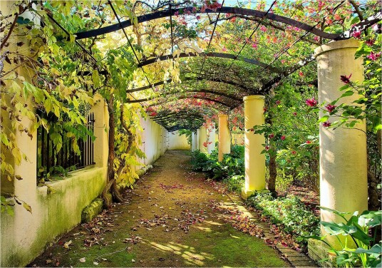 Fototapet Pergola 250x175 - Artgeist sp. z o. o.