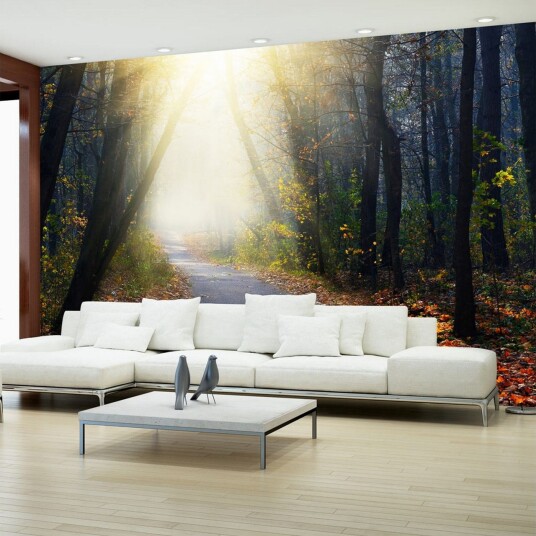 Fototapet Road Through The Forest 250x175 - Artgeist sp. z o. o.