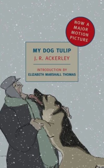 My Dog Tulip Av Elizabeth Marshall Thomas, J R Ackerley, J.R. Ackerley My Dog Tulip Av Elizabeth Marshall Thomas, J R Ackerley, J.R. Ackerley