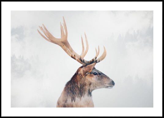 Misty Forest Stag Plakat / 70x100 Misty Forest Stag Plakat / 70x100