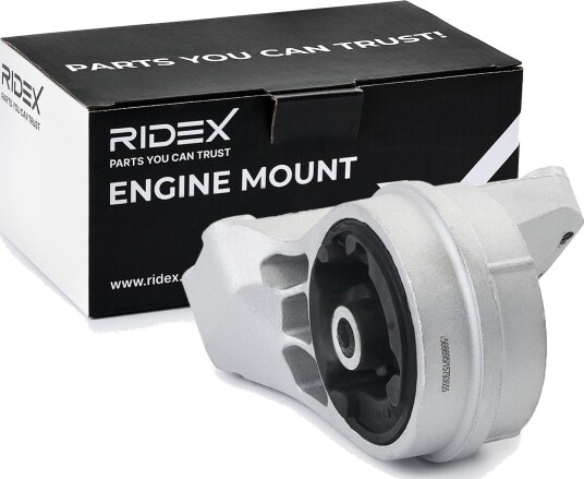 RIDEX 247E0510 Motorfeste