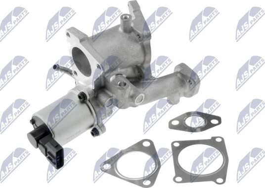 EGR Ventil NTY EGR-PL-016