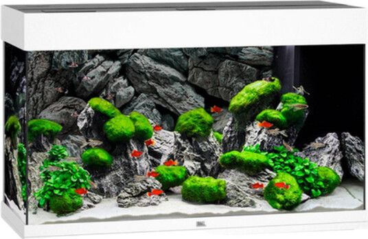Rio 180 Led Hvitt Akvarium Rio 180 Led Hvitt Akvarium