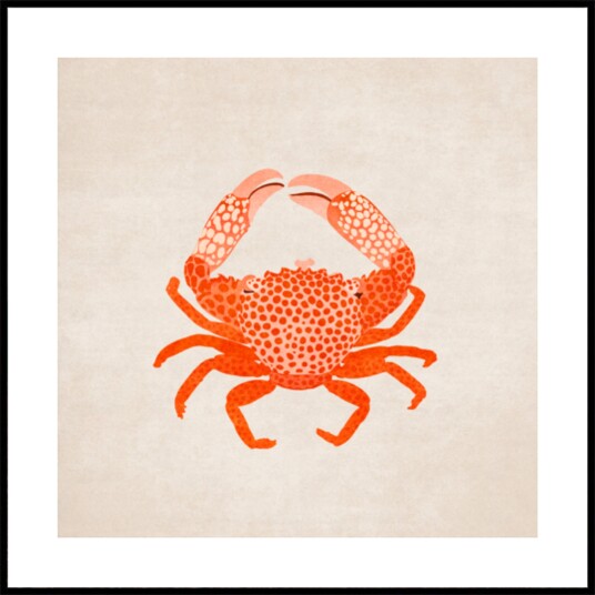 Crimson Claw Charm Plakat / 50x50