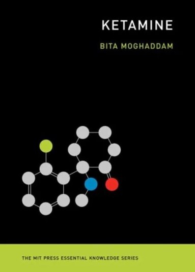 Ketamine Av Bita Moghaddam