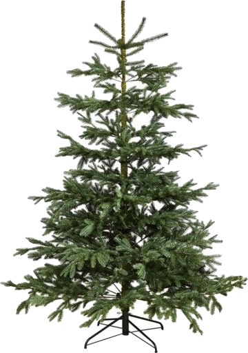 NORDIC WINTER Christmas tree artifical PE "Limited Edition" class A+ NORDIC WINTER Christmas tree artifical PE "Limited Edition" class A+