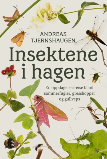 Insektene I Hagen Av Andreas Tjernshaugen