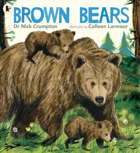 Brown Bears Brown Bears