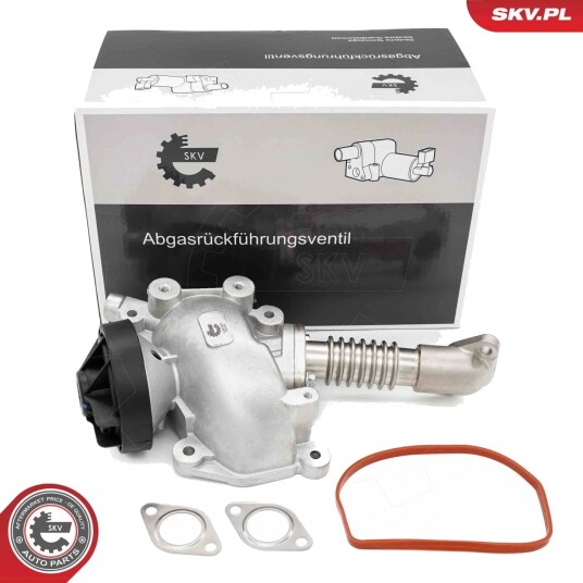 EGR Ventil ESEN SKV 14SKV257
