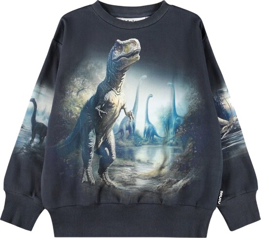 Molo Collegegenser Mattis Twilight Dinos Molo 6 år (116) Collegegenser Blå Grå Grønn Svart