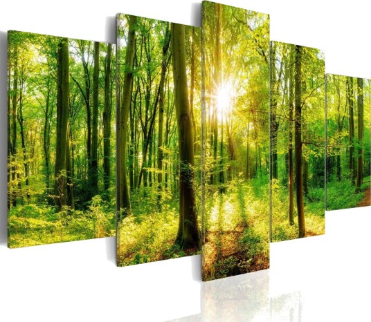 Bilde Forest Tale 200x100 Artgeist sp. z o. o.