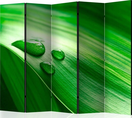 Romdeler - Leaf and three drops of water II 225x172 - Artgeist sp. z o. o.