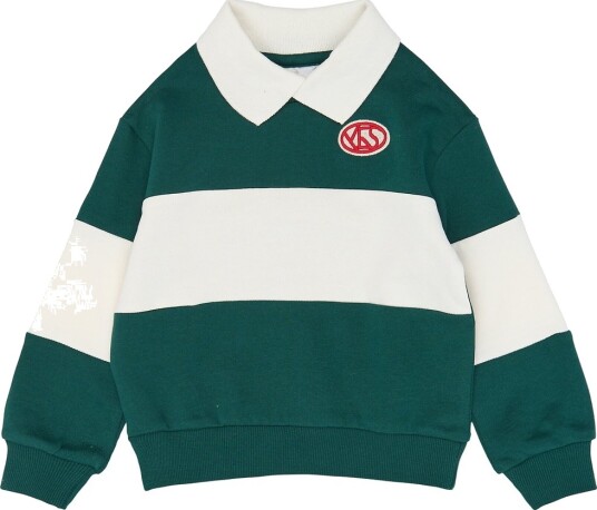 The New Tnstvirgilo Os Polo Sweatshirt - Green - 92 The New Tnstvirgilo Os Polo Sweatshirt - Green - 92