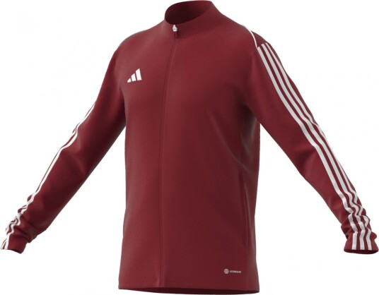 Adidas Tiro23 L Tr Jkt Aepu Tepore XS